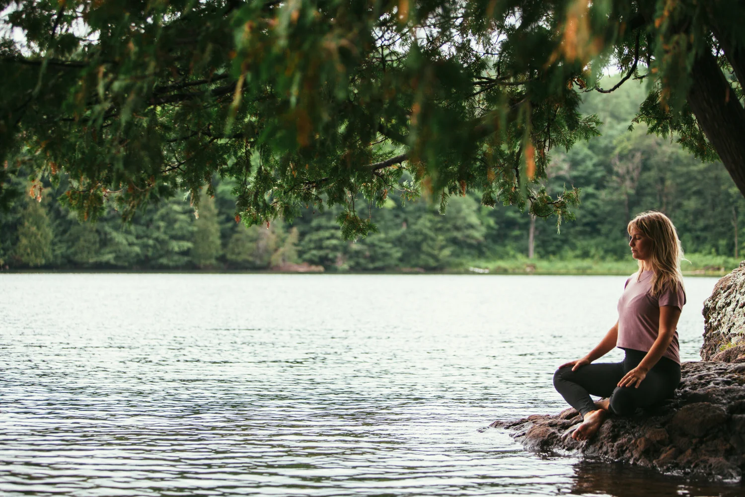 Sam sitting on a rock at the edge of a quiet lake under overhanging trees